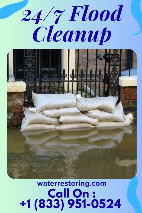 24/7 Flood Cleanup in Norway, IN