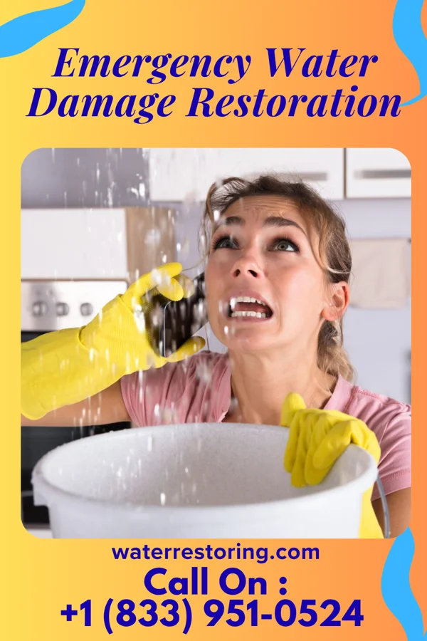 Emergency Water Damage Restoration in Norway, IN
