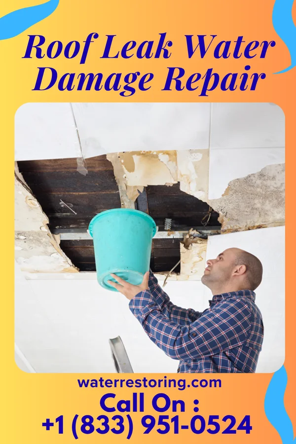 Roof Leak Water Damage Repair in Norway, IN