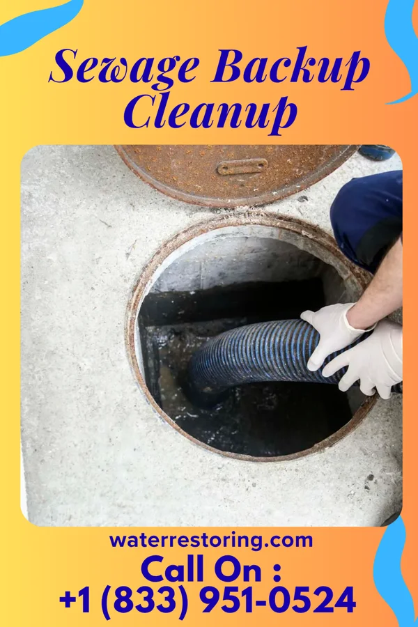 Sewage Backup Cleanup in Norway, IN