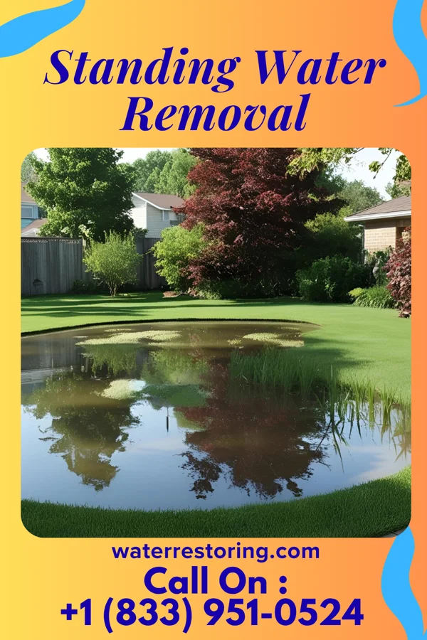 Standing Water Removal in Norway, IN